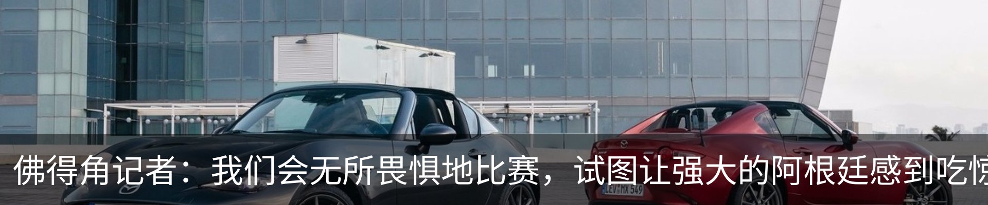最新动态