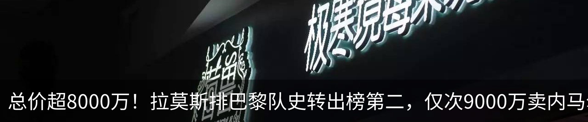 最新动态